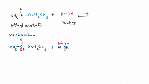 15-complete-the-following-reaction-that-results-from-a-carbonyl-group-substitution-reaction-with-water-leftmathrmh_2-mathrmoright-undersettext-ethyl-acetate-mathrmch_3-stackrelmathrmomathrmc-mathrmoch