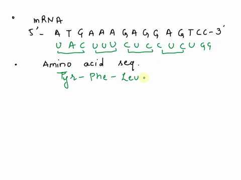 consider-the-following-dna-sequence-in-a-coding-region-of-a-gene-5-a-t-g-a-a-a-g-a-g-g-a-g-t-c-c-3-3-t-a-c-t-t-t-c-t-c-c-t-c-a-g-g-5-1-using-the-top-strand-as-coding-strand-what-would-be-the-37109
