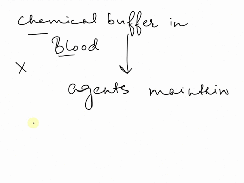 which-of-the-following-is-not-a-chemical-buffer-used-in-the-blood-question-11-1which-of-the-following-is-not-a-chemcial-buffer-used-in-the-blood-bicarbonate-phosphate-potassium-protein-23223