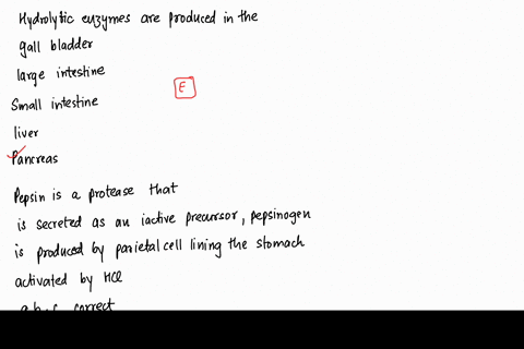 please-find-the-answer-to-question-47-and-explain-it-please-thank-you-47-in-class-we-talked-about-several-enzymes-that-hydrolyze-nutrients-in-the-small-intestine-these-hydrolytic-enzymes-are-09383