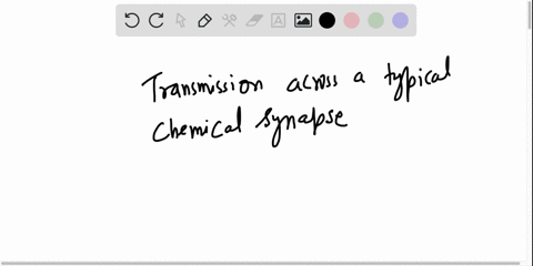 65_-which-of-the-following-statements-about-transmission-across-a-typical-chemical-synapse-is-correct-a-neurotransmitter-molecules-primarily-bind-to-receptors-in-the-presynaptic-cell-membran-46232