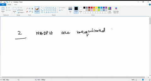 how-many-nadph-are-required-to-generate-a-4-carbon-fatty-acid-1-3-2-4-29343