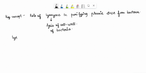 question-2-you-dont-need-to-use-lysozyme-when-purifying-plasmid-dna-from-gram-negative-bacteria-true-false-90496