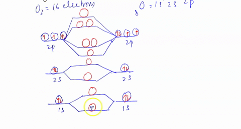1-a-draw-the-molecular-orbital-diagrams-for-o2-and-n22-b-calculate-the-bond-order-for-each-diagram-c-determine-the-magnetic-properties-for-each-diagram-para-or-diamagnetic-d-how-do-the-orbit-73366