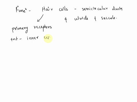 describe-the-functions-of-hair-cells-in-the-semicircular-ducts-utricle-and-saccule-90532
