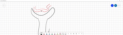 which-ofthe-following-can-pass-from-the-blood-plasma-to-the-inside-of-the-capsule-and-the-lumen-of-the-nephron-tubules-1-water-2-dissolved-ions-iike-na-and-k-3-most-plasma-proteins-and-but-n-38562