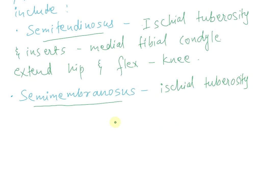 SOLVED As you bring your foot and leg back behind you prior to kicking a ball, what is the