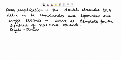 question-1-which-of-the-statements-about-dna-replication-is-true-single-strand-binding-proteins-stabilize-the-open-conformation-of-the-unwound-dna-okazaki-fragments-are-dna-fragments-synthes-17936