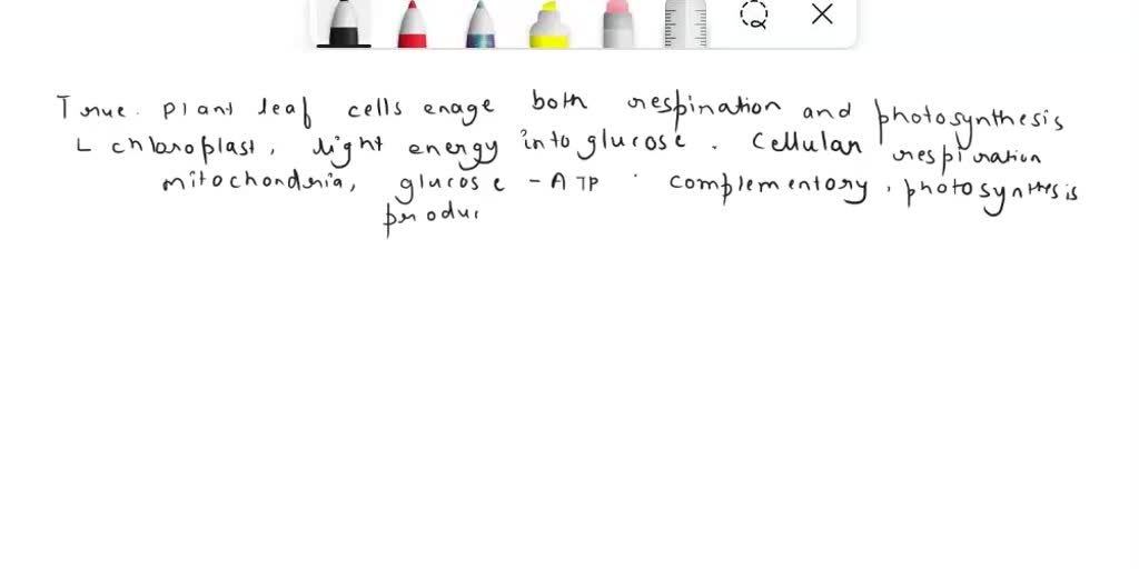 SOLVED True or False Plant leaf cells perform both cellular respiration and photosynthesis
