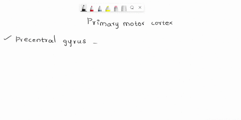 the-hypothalamus-and-the-primary-motor-cortex-are-the-two-parts-of-the-brain-that-have-the-most-direct-influence-over-the-body-compare-the-ways-in-which-each-creates-changes-in-the-body-and-70702