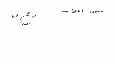 select-the-functional-groups-you-find-from-the-molecule-shown-below-hzn_-oh-conh2-acetal-hemiacetal-amine-carboxylic-acid-alpha-amino-acid-peptide-54248
