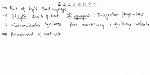 which-of-the-following-would-not-be-part-of-the-life-cycle-of-lytic-bacteriophage-a-macromolecular-synthesis-b_-attachment-to-the-host-cell-c_-assembly-of-progeny-phage-d-integration-into-th-45264