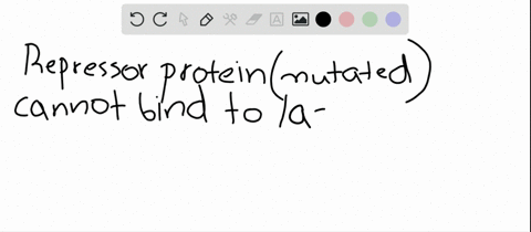 what-would-be-the-result-of-a-mutation-in-the-repressor-protein-that-prevented-it-from-binding-lactose-a-the-repressor-will-bind-to-lactose-when-it-is-removed-from-the-operator-b-the-repressor-will--2