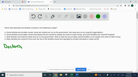 which-best-describes-the-facilities-involved-in-the-healthcare-cluster-some-facilities-are-privately-owned-some-are-funded-and-run-by-the-government-and-some-are-run-by-nonprofit-organizatio-98906
