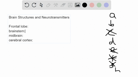 check-your-understanding-of-the-brain-structures-and-neurotransmitters-match-each-with-its-descri-23-99784