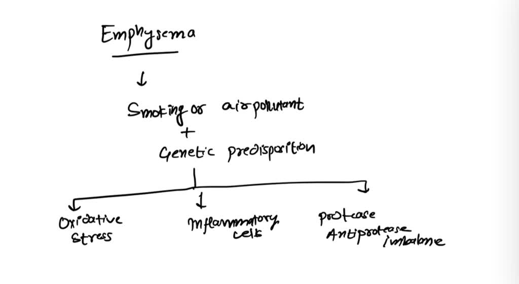 solved-3-what-is-the-mechanism-of-the-disease-emphysema-what-is-the