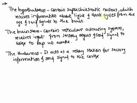 what-brain-areas-control-sleep-and-arousal-describe-at-least-three-17951