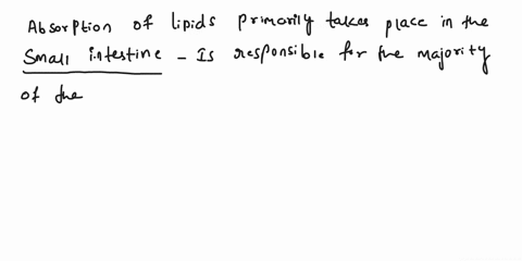 lipids-are-broken-down-by-bile-and-digestive-enzymes-before-absorption-into-the-body-where-does-absorption-take-place-a-gallbladder-b-large-intestine-c-mouth-d-small-intestine-e-stomach-f-es-23279