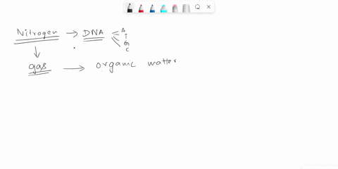 what-role-do-nitrogen-fixing-bacteria-perform-in-the-nitrogen-cycle-84427