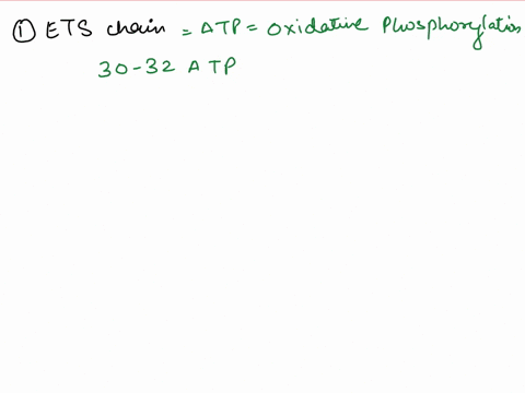 74-how-many-atp-are-made-by-the-electron-transport-chain-directly-a-1-b-15-c-25-d-2-or-3-e-30-or-32-75-the-oxidation-of-nadh-via-the-electron-transport-chain-causes-enough-protons-to-be-pump-01966