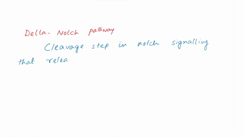 question-18-the-cleavage-step-in-notch-signaling-that-releases-the-notch-tail-so-that-it-can-migrate-into-the-nucleus-is-directly-mediated-by-_-glycosyltransferase-gamma-secretase-delta-smad-34357