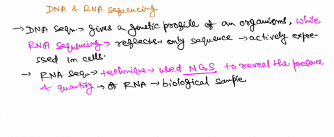 what-are-difference-between-rna-and-dna-sequencing-what-benefits-are-there-if-any-to-rna-sequencing-rather-than-dna-56933