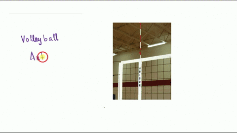 the-answer-is-made-up-of-flexible-rod-fiberglass-or-similar-material-55894