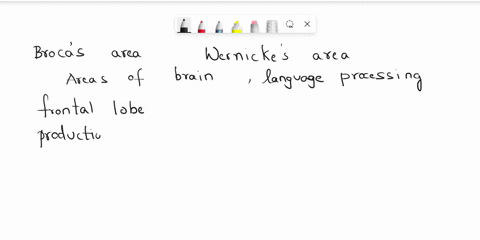 how-do-brocas-area-and-wernickes-area-compare-select-all-that-apply-check-all-that-apply-they-are-both-in-the-frontal-lobe-they-are-both-in-the-temporal-lobe-they-are-both-in-the-cerebrum-pr-22706