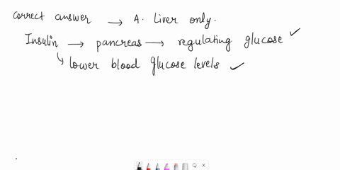 a-primary-target-tissue-for-insulin-is-the-a-liver-only-b-brain-only-c-intestine-only-d-brain-and-liver-e-brain-liver-and-intestine-61795