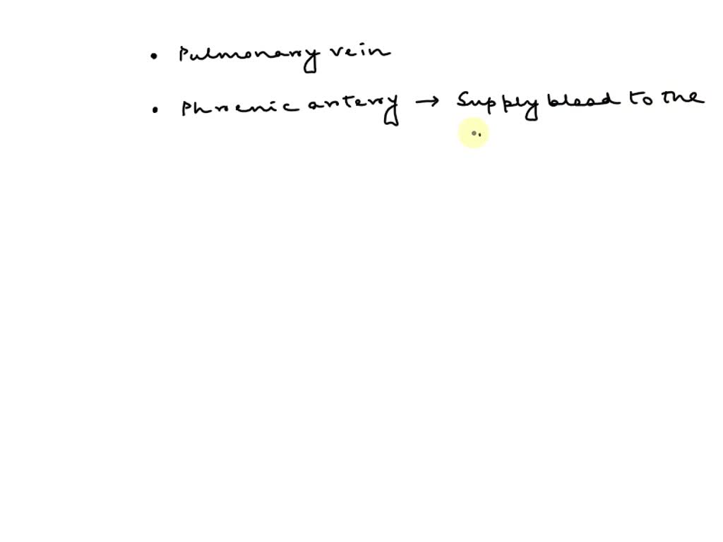 SOLVED: in the blood decrease? Group of answer choices alveolar air ...