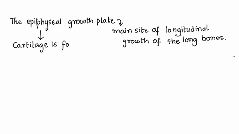 how-does-the-epiphyseal-growth-plate-account-for-the-lengthwise-growth-of-the-diaphysis-81207