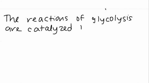 how-are-the-irreversible-reactions-of-glycolysis-bypassed-in-gluconeogenesis-44383