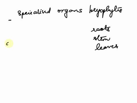 question-7-in-general-which-of-the-following-specialized-organs-do-bryophytes-have-o-rhizoids-oroots-oleaves-lateral-meristems-45061