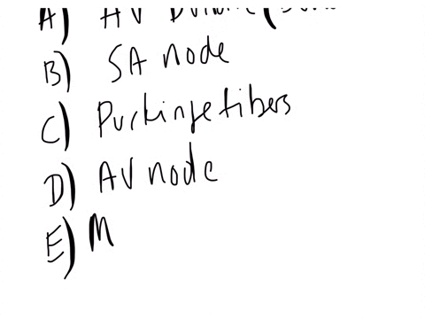 the-impulse-that-causes-cardiac-muscle-to-contract-is-delivered-to-the-ventricles-by-the-a-atrioventricular-bundle-bundle-ofhis-b-sinoatrial-node-sanode-c-purkinje-fibers-d-atrioventricular-node-e-med