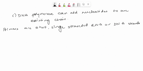 why-are-primers-needed-for-dna-replication-they-help-with-the-joining-of-okazaki-fragments-they-help-direct-the-placement-of-the-telomeres-dna-polymerase-can-only-add-nucleotides-to-an-exist-98955
