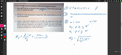 cat-hougeholde-exploration-35b-survey-of-47000-american-households-in-2007-found-that-32496-own-pet-cat-the-value-324-o5as-decimal-0324-parameter-or-statistic-what-symbol-would-you-use-t0-re-86432