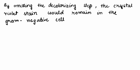 what-color-wouod-gram-negative-cells-appear-if-the-decolorizing-step-was-left-out-of-staining-procedure-why-45558