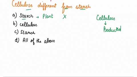 what-makes-cellulose-different-from-starch-a-starch-is-produced-by-plant-cells-and-cellulose-is-prod-30889