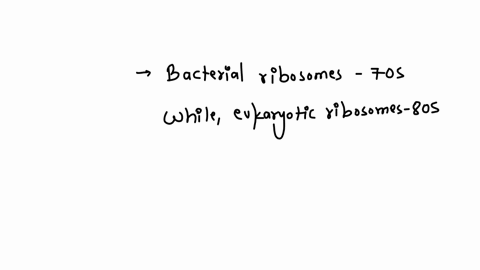 some-antibiotics-can-block-protein-synthesis-in-bacteria-without-affecting-the-cells-of-the-eukaryotic-host-this-is-possible-because-bacteria-can-use-much-greater-variety-of-food-sources-tha-19049