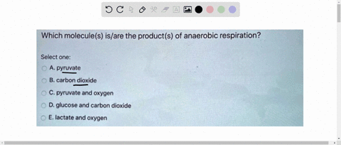 which-molecules-isare-the-products-of-anaerobic-respiration-select-one-a-pyruvate-b-carbon-dioxide-c-pyruvate-and-oxygen-d-glucose-and-carbon-dioxide-e-lactate-and-oxygen-32165