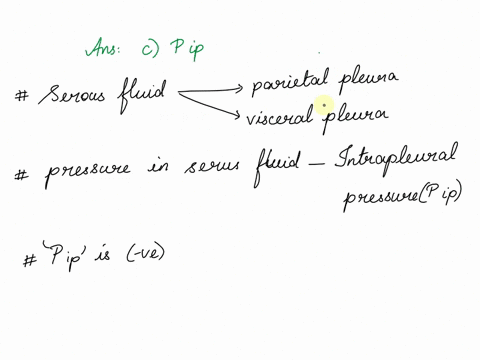 which-of-these-represents-the-pressure-in-the-serous-fluid-in-the-pleural-cavities-a-p-tp-b-p-alv-c-p-ip-dp-atm-34794