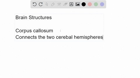 although-the-left-and-right-hemispheres-of-the-brain-are-specialized-they-are-normally-in-close-co-2-01138