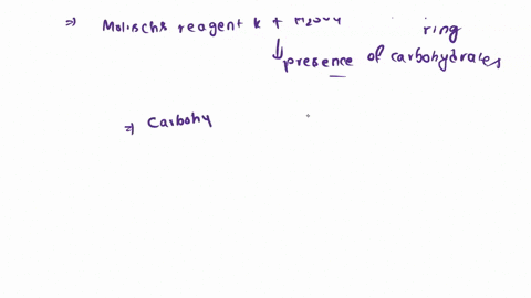 what-is-the-similarity-of-molischs-bials-orcinol-and-seliwanoffs-test-88261