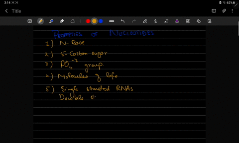 describe-the-properties-and-functions-of-nucleic-acids-in-a-cell-12174