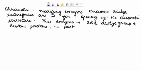 quegcion-i0-the-chromatin-modifying-enzymes-known-jnone-acetyl-transterases-true-false-aldtanscnnlidn-opening-up-the-chromaun-structure-42664