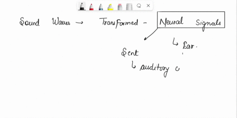 how-is-speech-understood-in-the-brain-using-a-word-recognition-model-81225