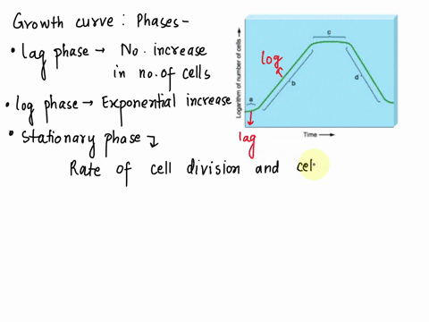 question-1-l-time-use-the-growth-cunve-shown-above-answer-the-following-questionis-new-cells-are-produced-at-the-same-rate-as-old-cells-die-cannot-be-determined-from-the-figure-question-10-o-03663