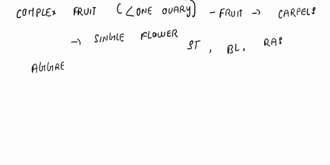 Angiosperms Fruit types Match the fruit type with the fruit. aggregate ...