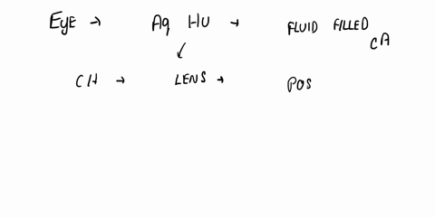 what-type-of-fluid-fills-chamber-2-multiple-choice-perilymph-hemolymph-vitreous-humor-83187
