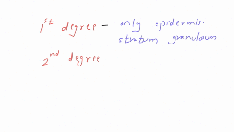 match-the-burns-to-the-structures-in-the-layers-of-the-skin-that-is-affected